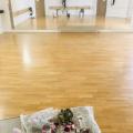fresque salle de danse